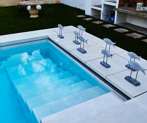 piscine-sfioro-skimmer-5 piscine-sfioro-skimmer-5