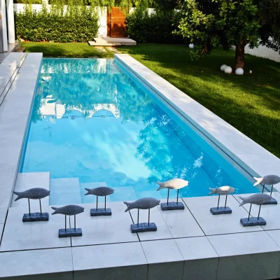 piscine-sfioro-skimmer-6